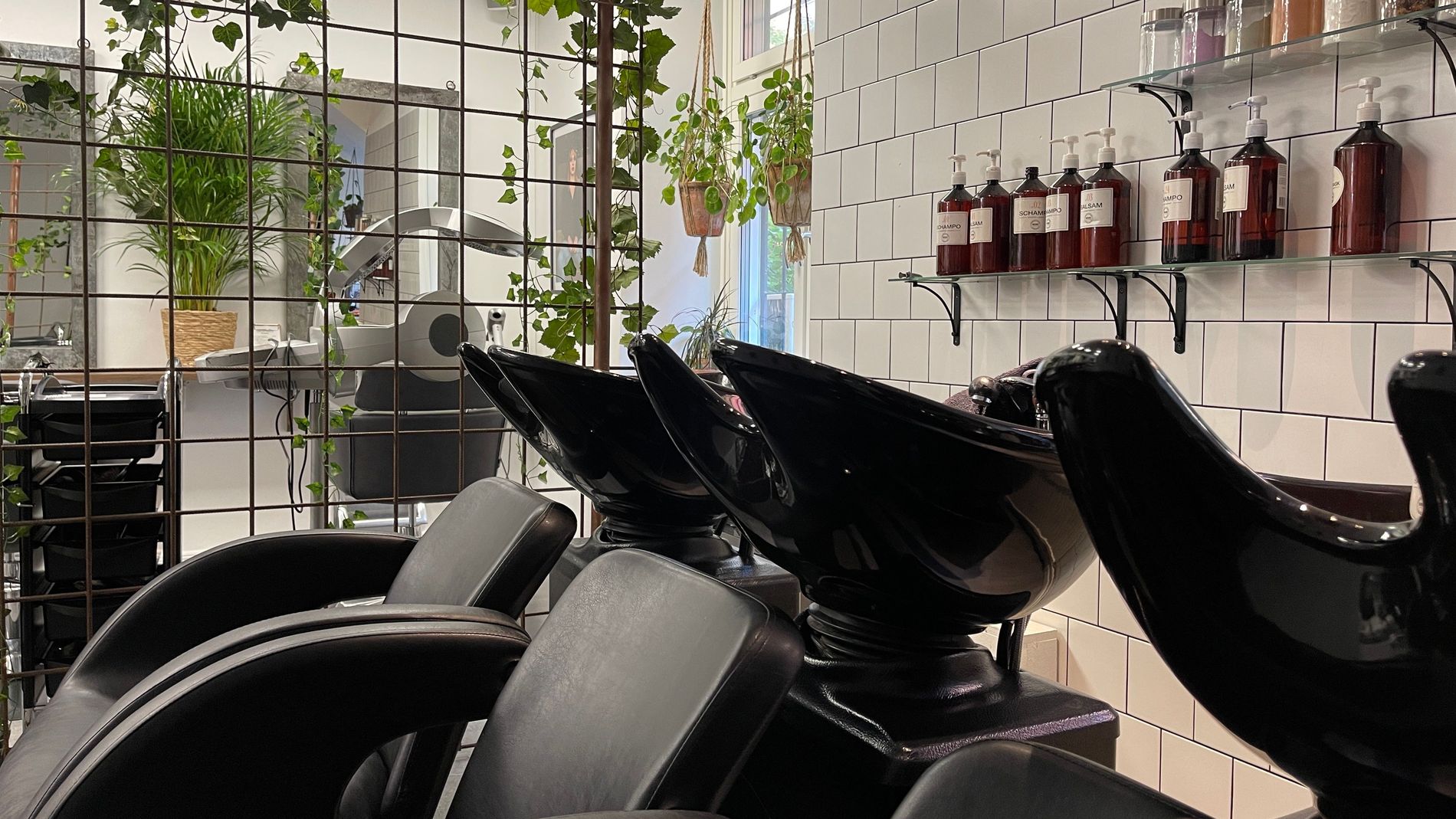 Algae hair treatment everything you need to know Vogue Scandinavia