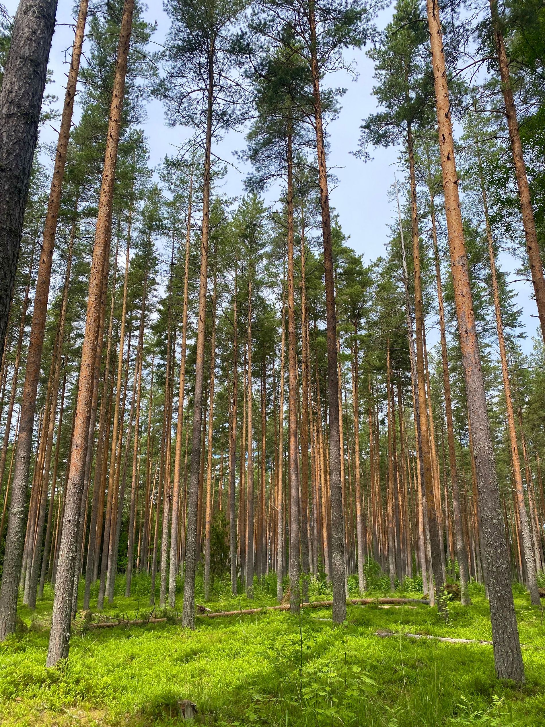 Silence Project trip to Finland