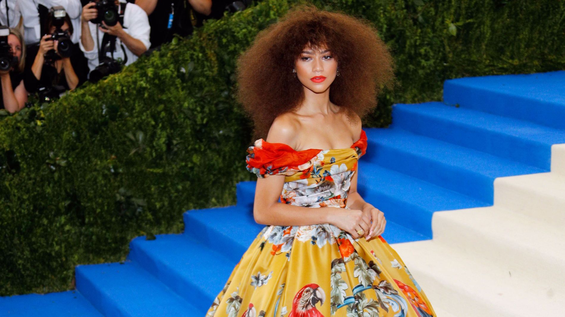 Zendaya Met Gala