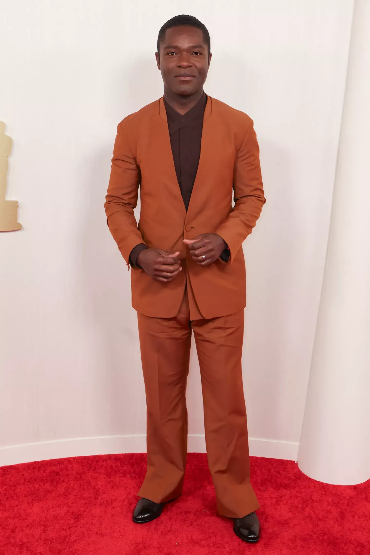 David Oyelowo on the Oscars 2024 red carpet