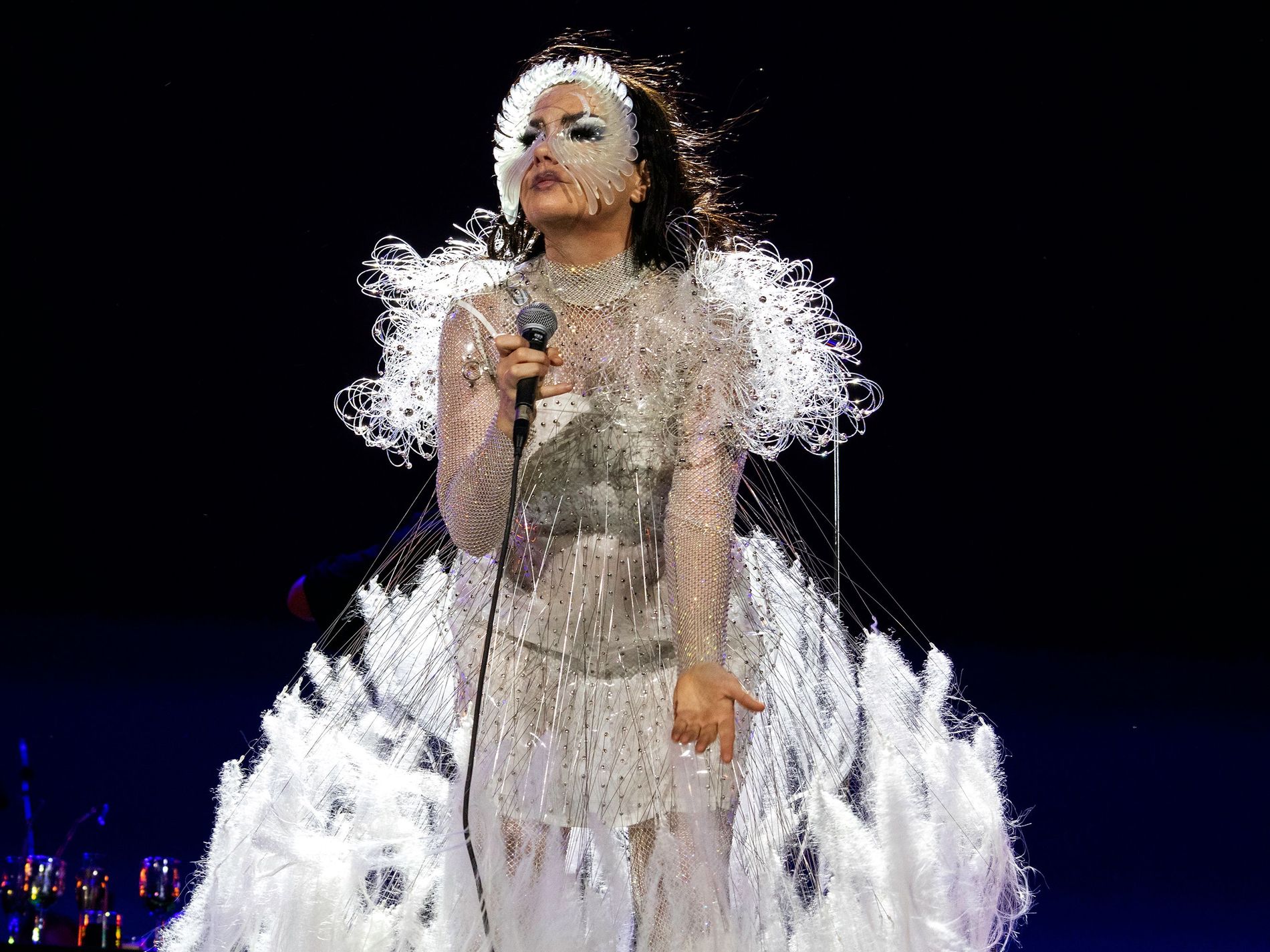 bjork swan dress Pearl Bjork In Bjork Swan, Björk Dress, Bjork Vespertine Women's Lace Shirt Blouse Katya COUNT-120 Length:36-37
