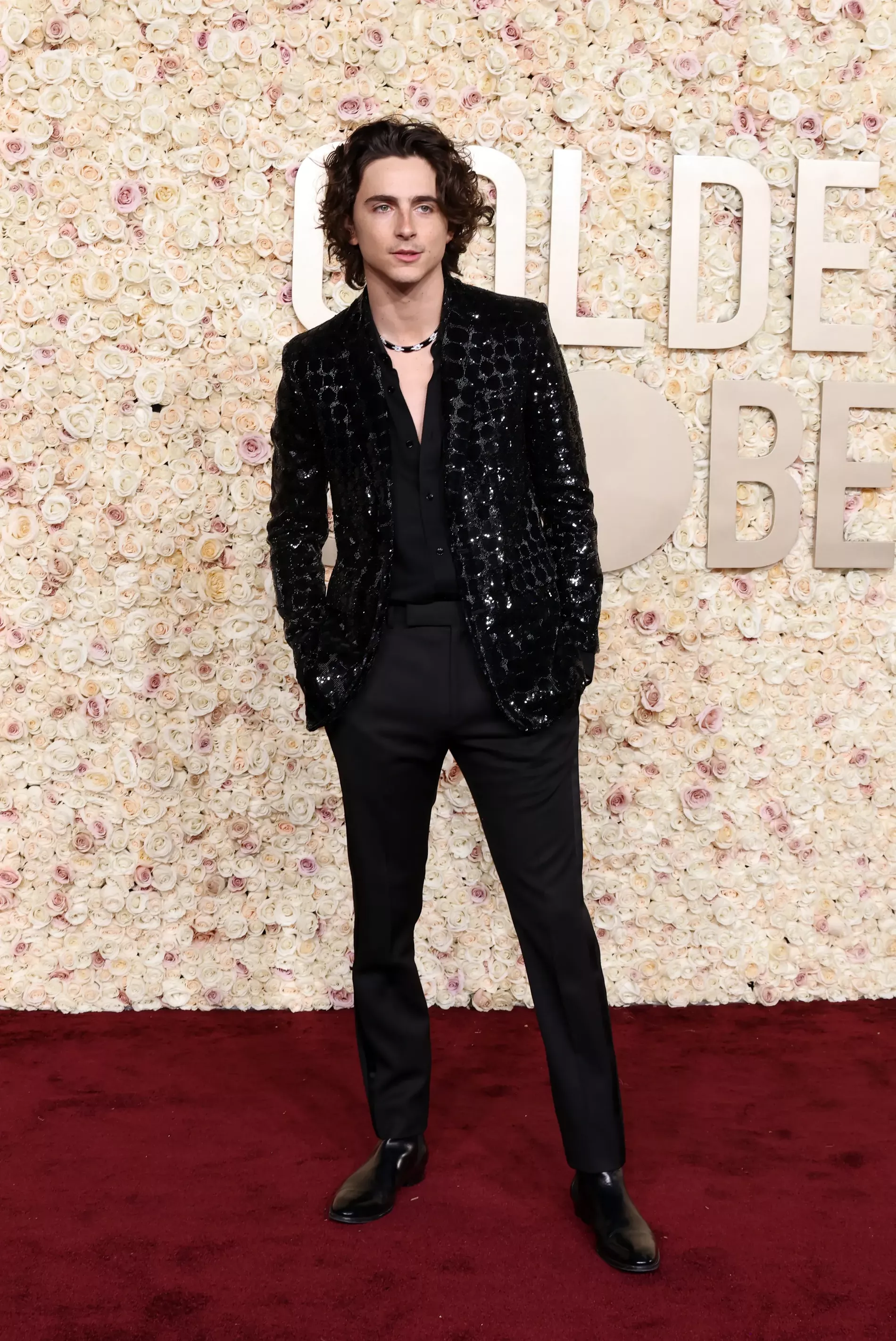 Timothée Chalamet in Celine