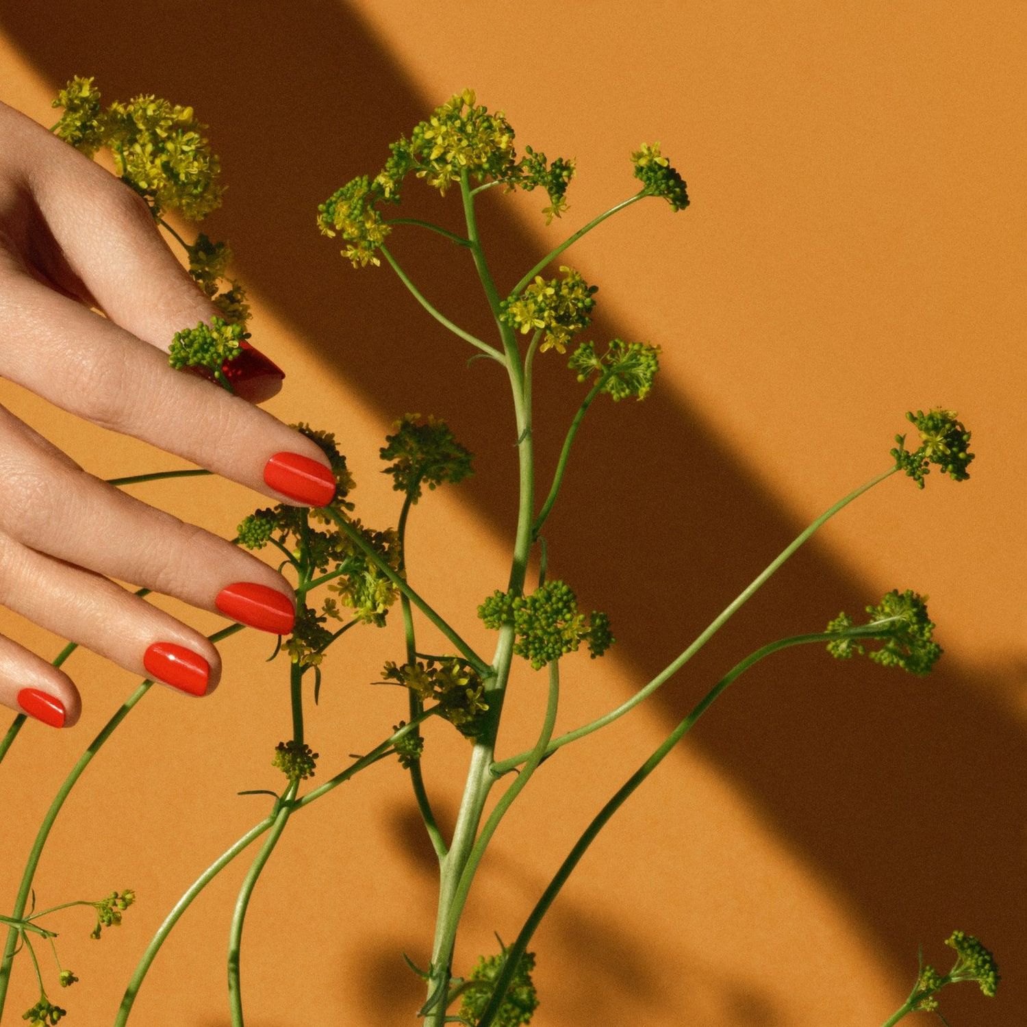 hermes manicure nails hands orange plant green 