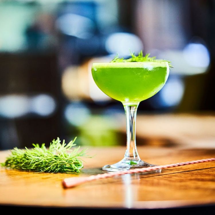 green drink cocktail iceland dill
