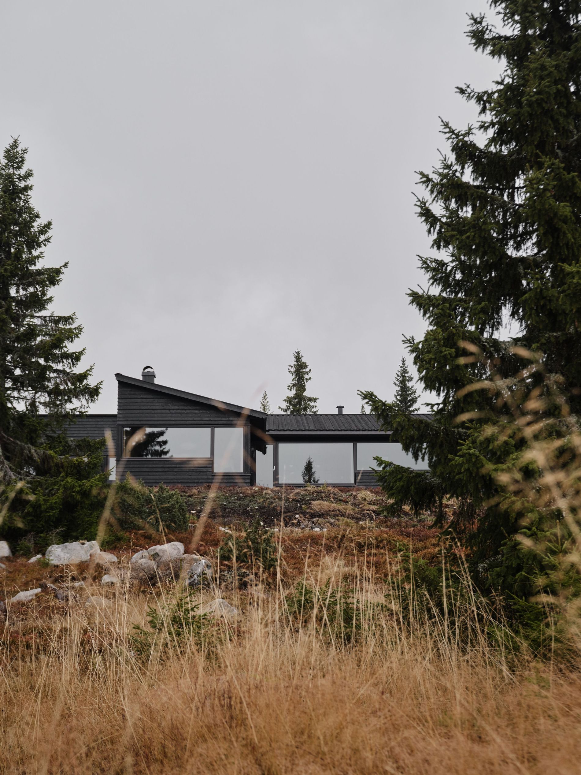 Nordiska Kök Hytte Kitchen