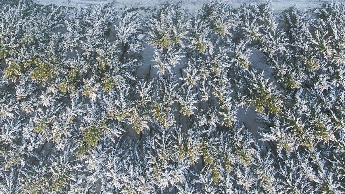 Winter in Denmark