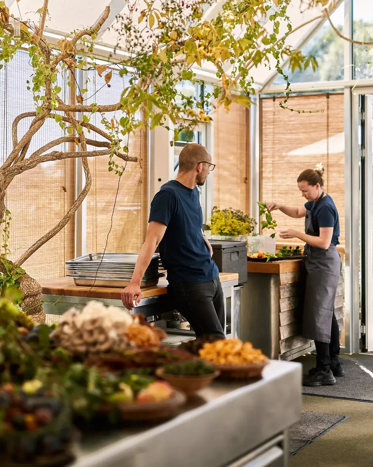 What's next for Noma? We step inside Copenhagen's Noma Projects to