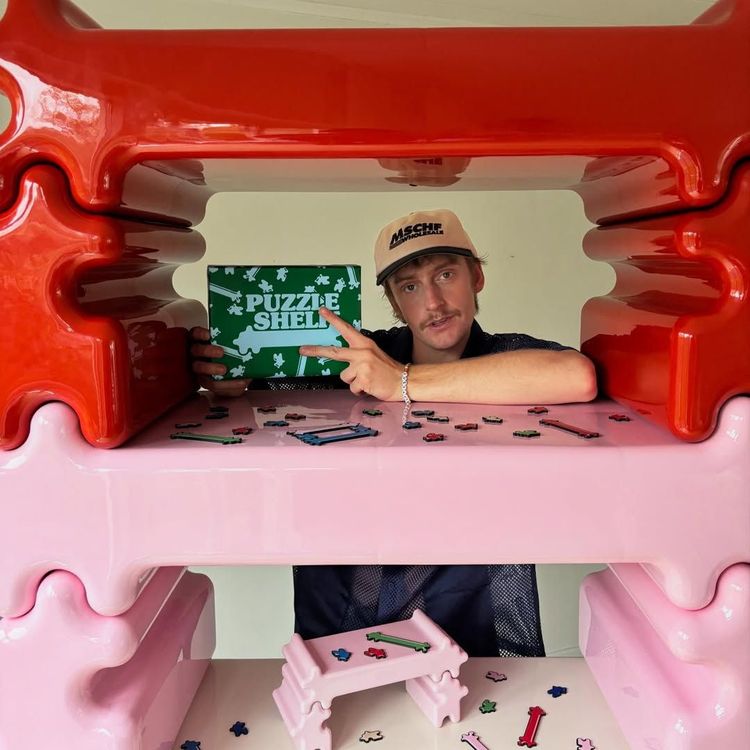 Gustaf Westman Puzzle Shelf