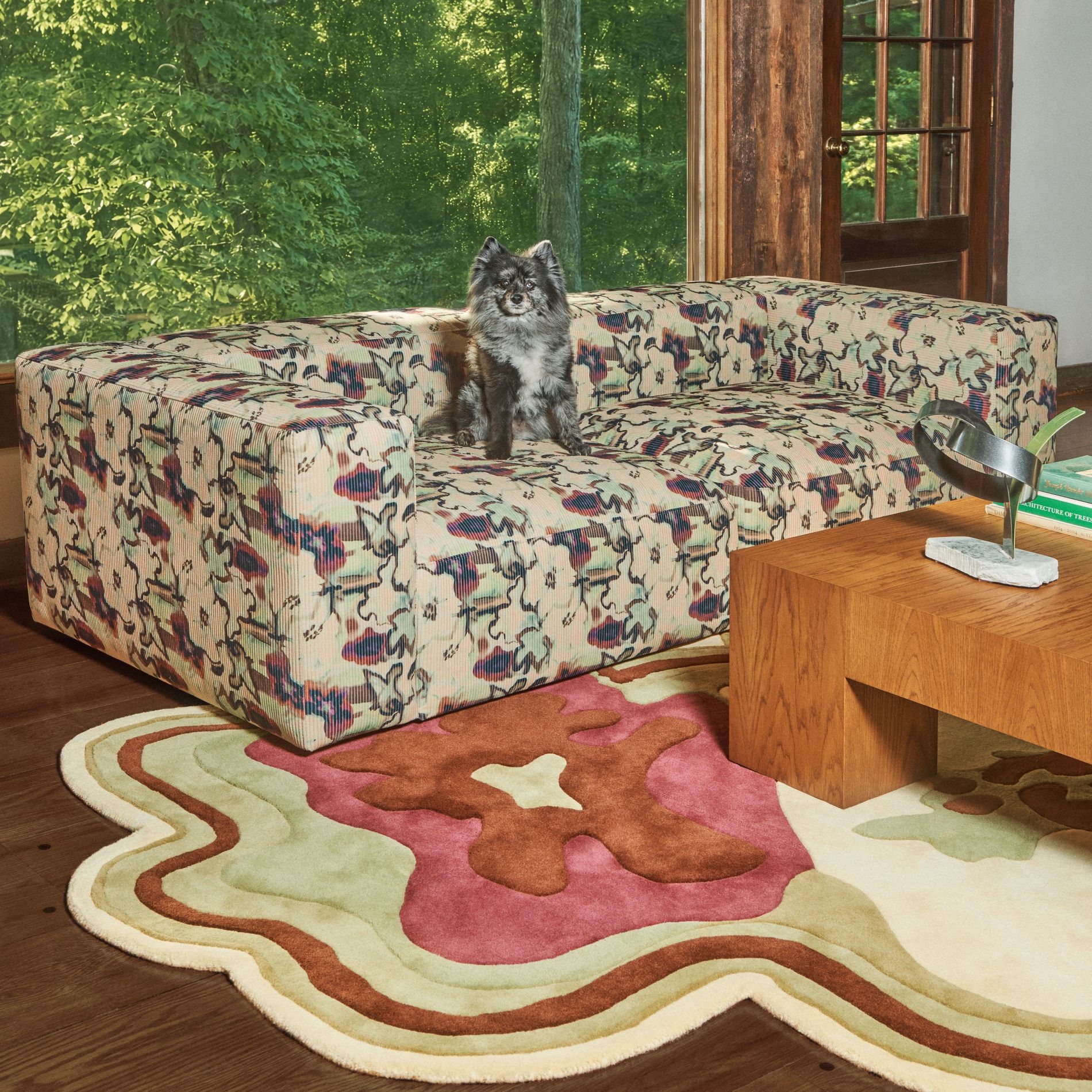 A dog pictured on the Layered x Collina Strada sofa