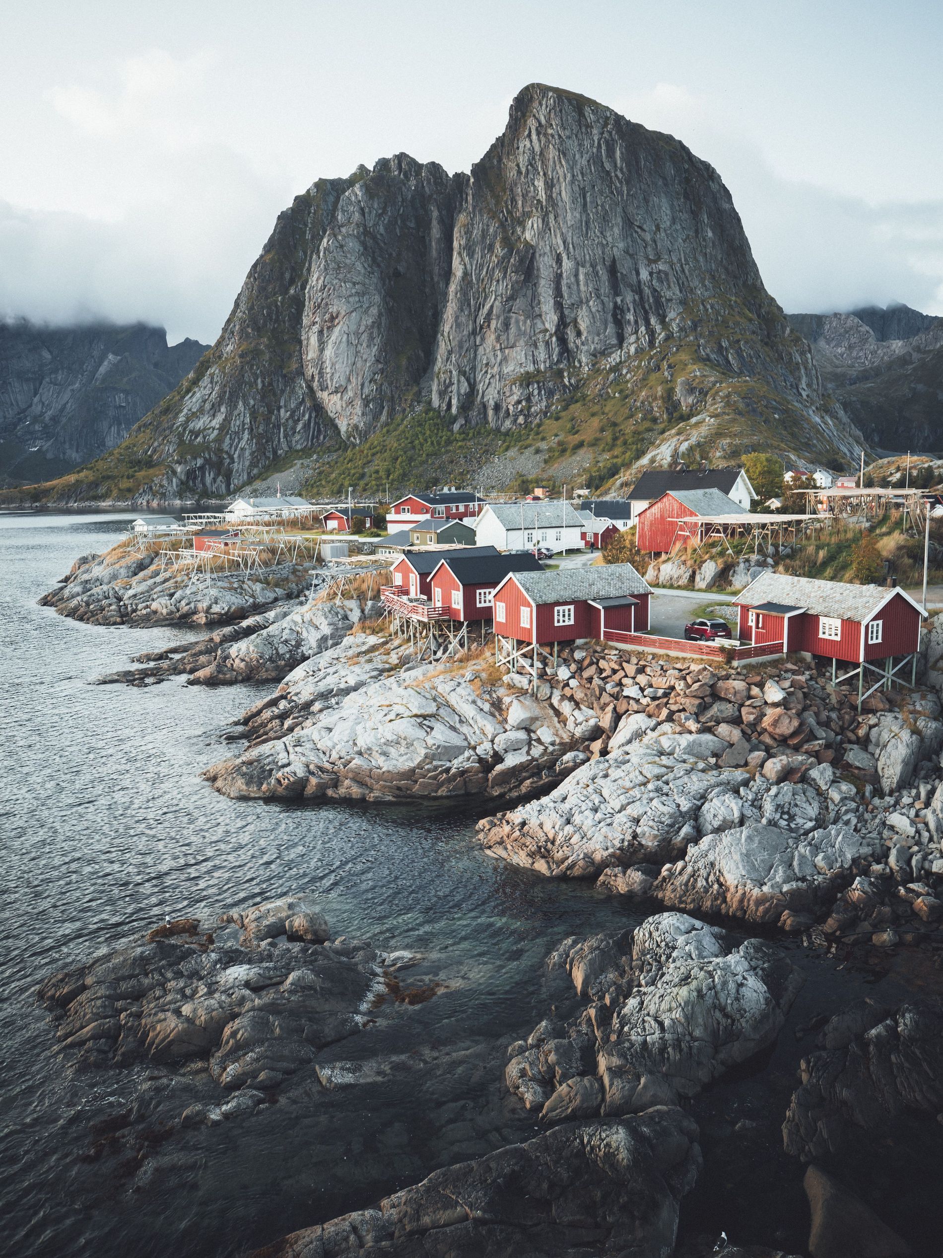 Reine