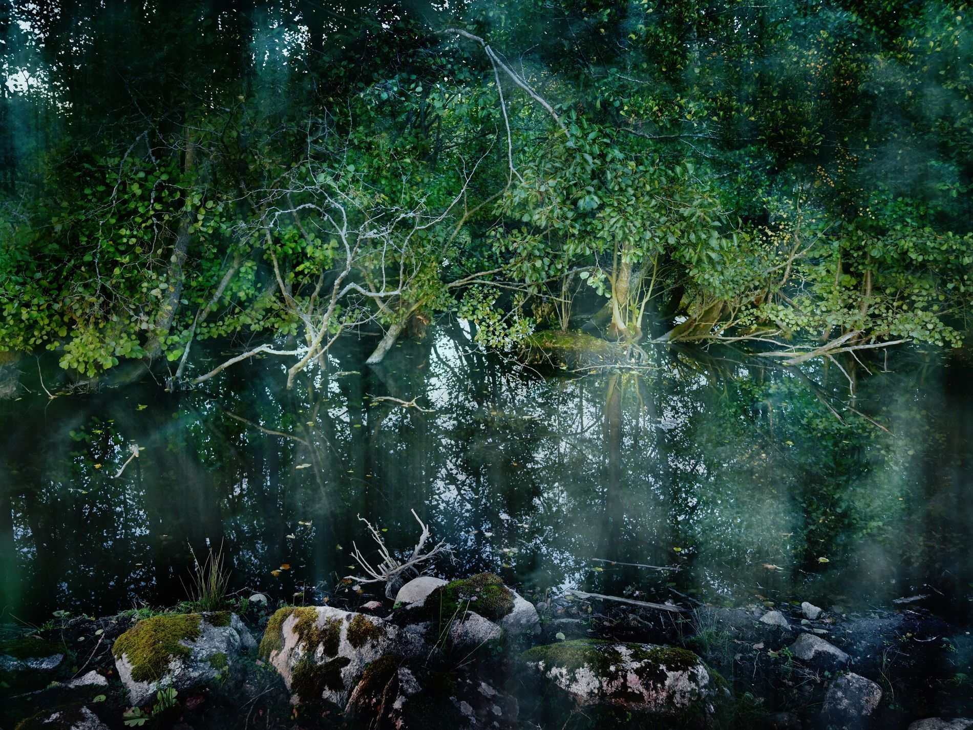 Merging with nature part 3 II