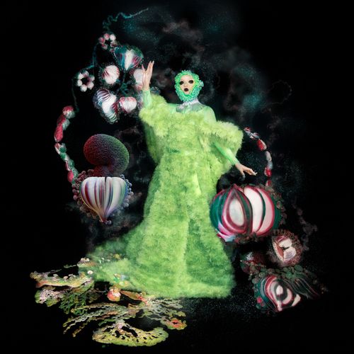 Bjork Archives 英語版 Bjork: Archives | Klaus Biesenbach | nostos books ノストス