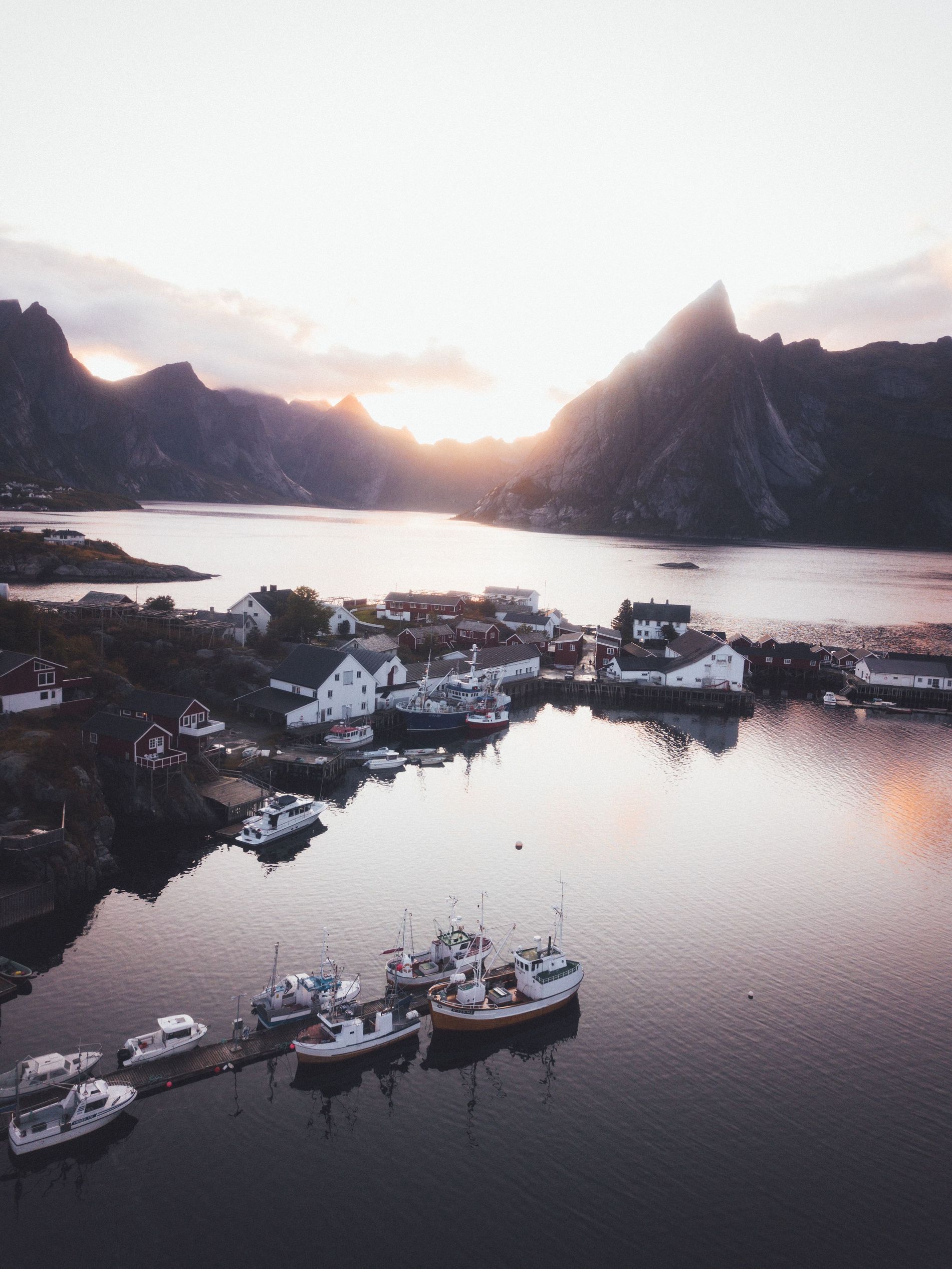 Reine