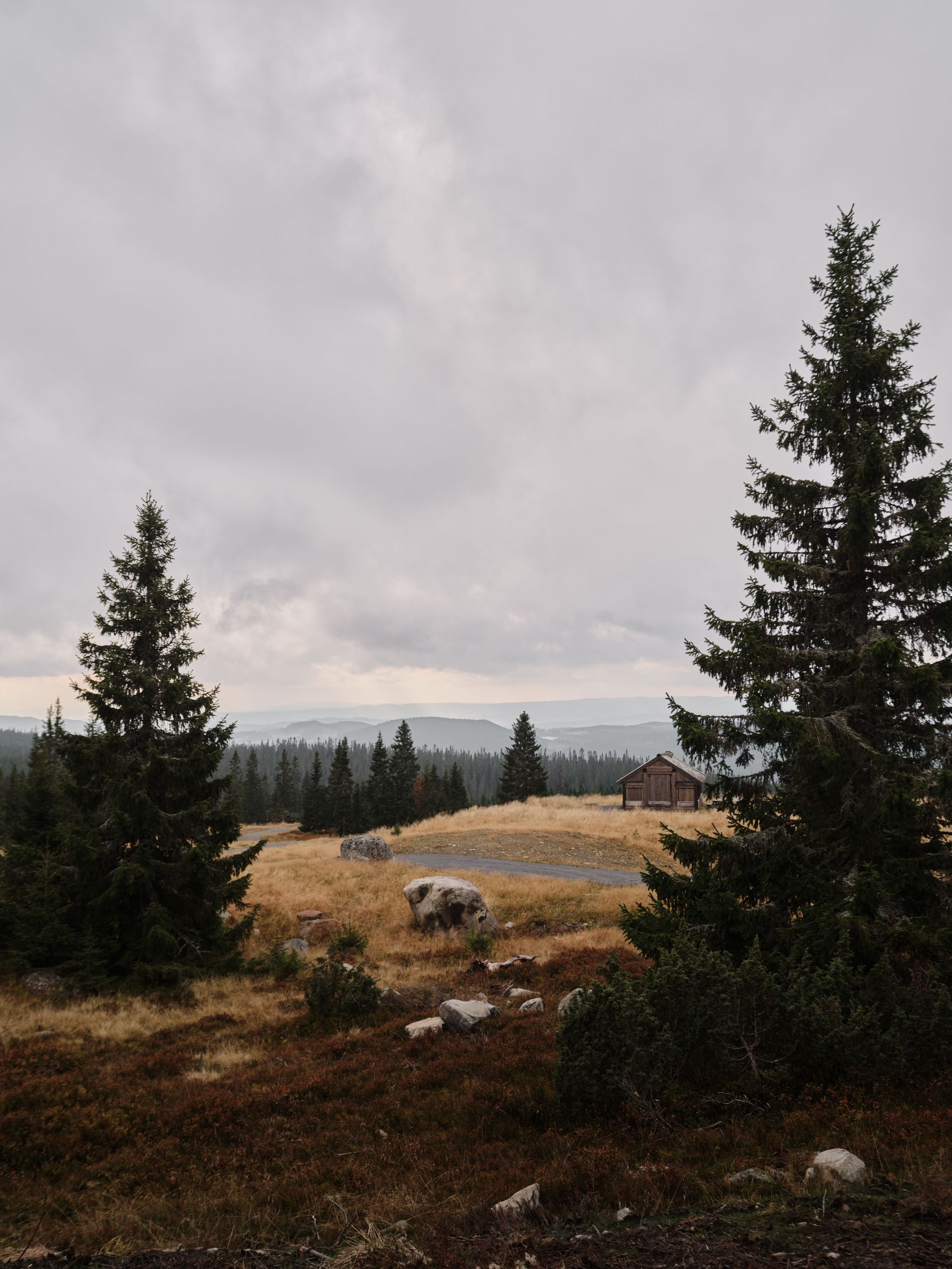 Nordiska Kök Hytte Kitchen