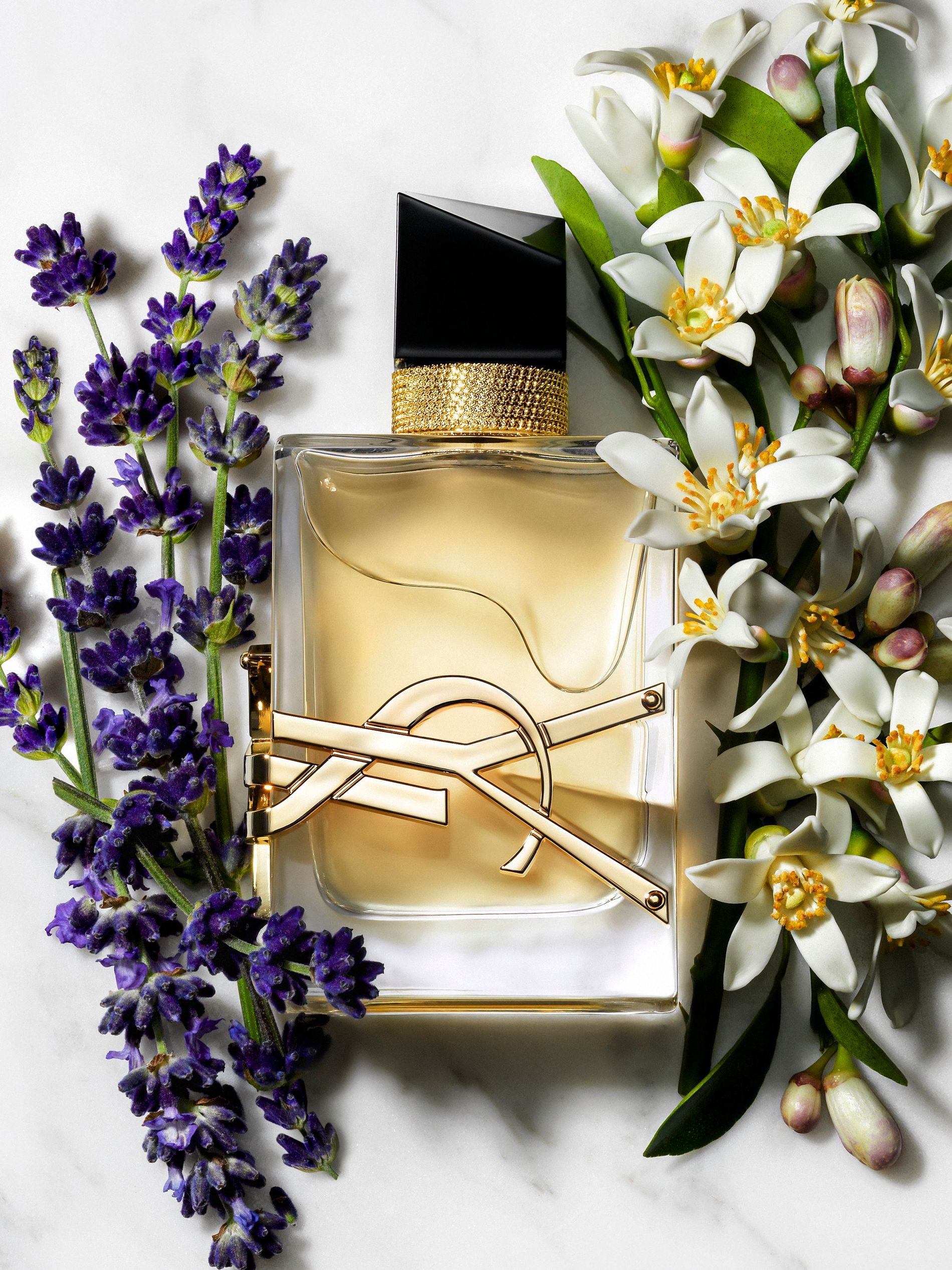 Libre Yves Saint Laurent perfume - a fragrance for women 2019