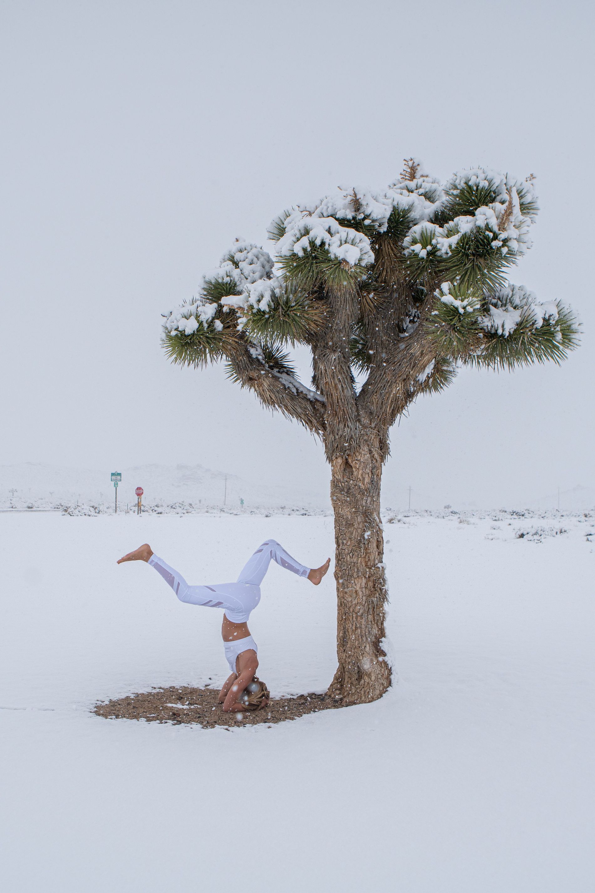 Blossom Yoga & Wellness is thrilled to offer a Snowga (Snowy Yoga