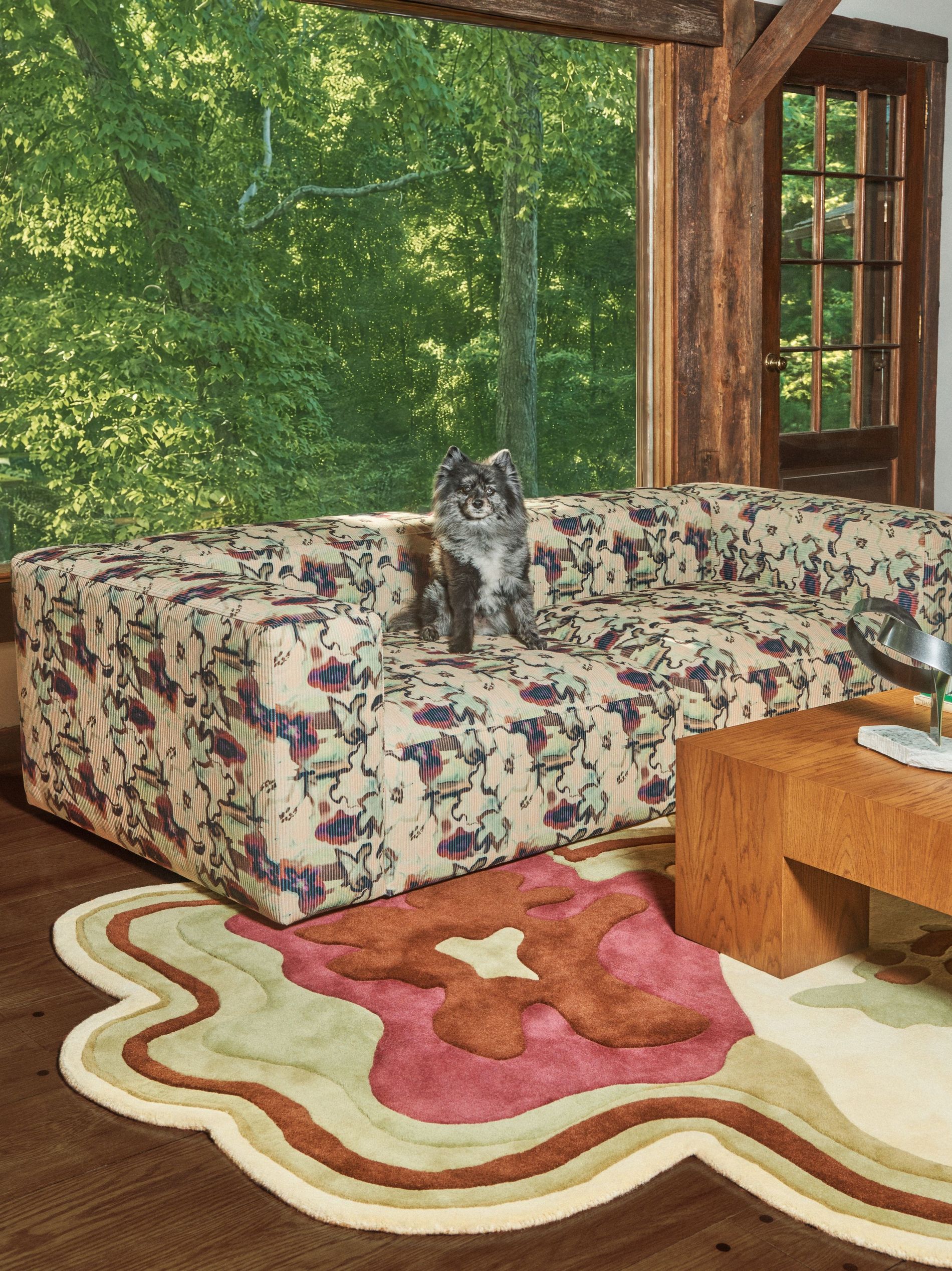 A dog pictured on the Layered x Collina Strada sofa