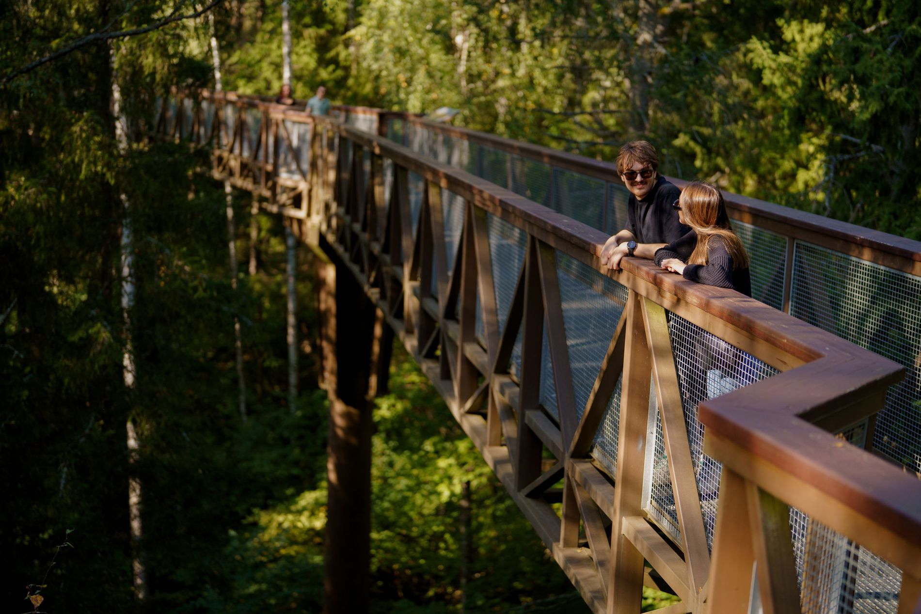 The Anykščiai Treetop Walking Path