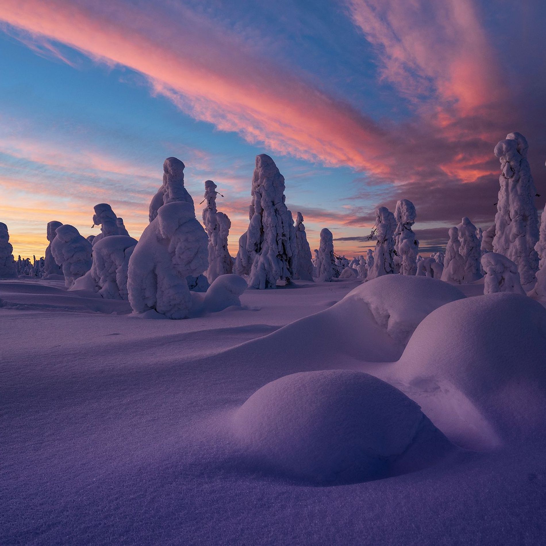 Your Ultimate Guide To Exploring Swedish Lapland Where To Go What To Your Ultimate Guide To Exploring Swedish Lapland Where To Go What To