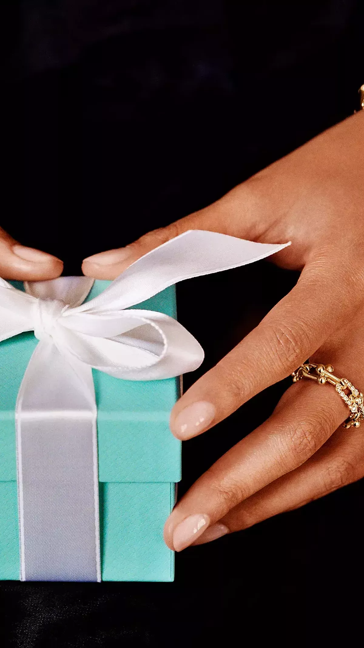 Tiffany & Co. on your mind this Christmas? These are our editor in 
