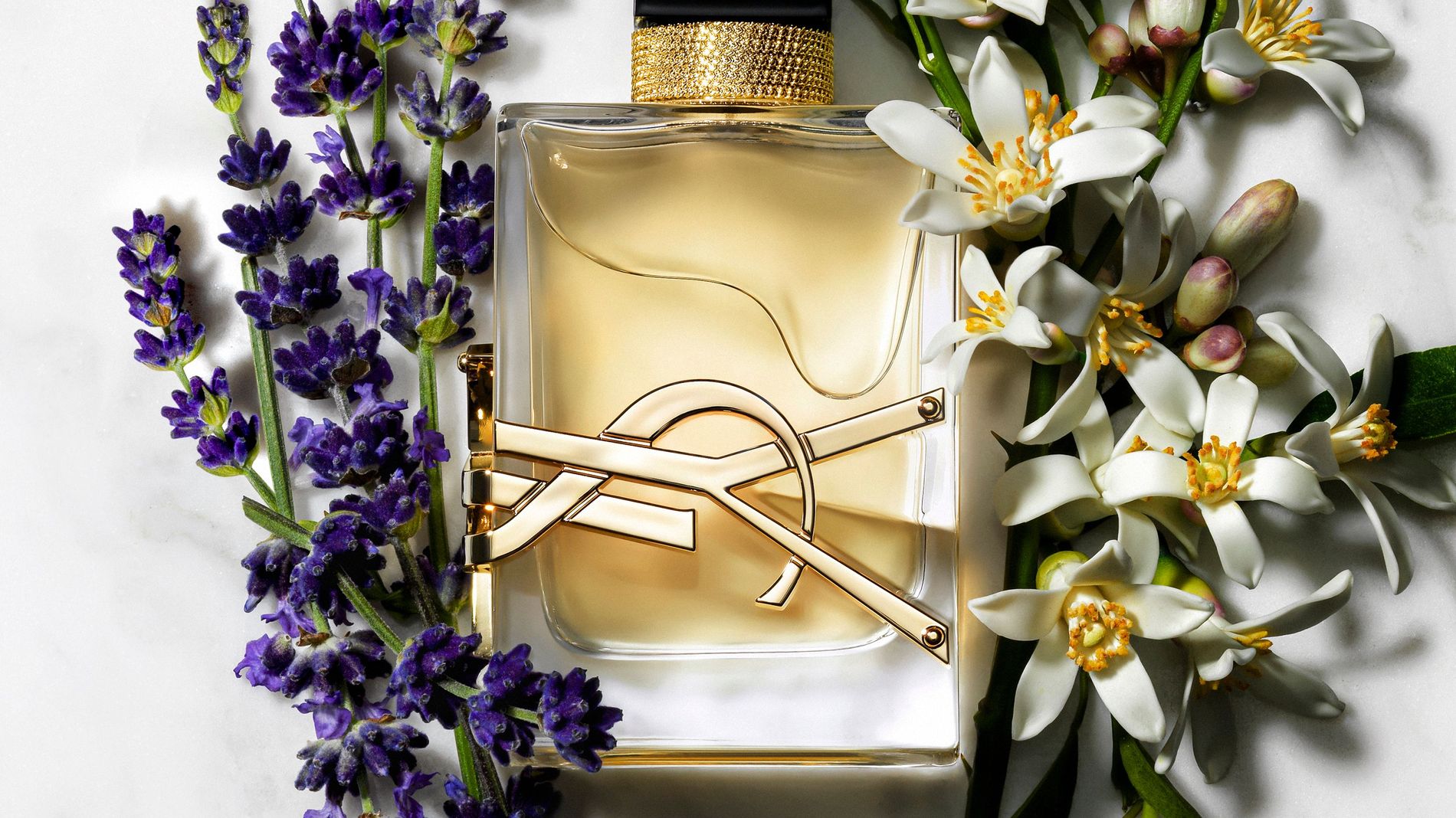 L'Oréal Yves Saint Laurent launches feminine fragrance Libre
