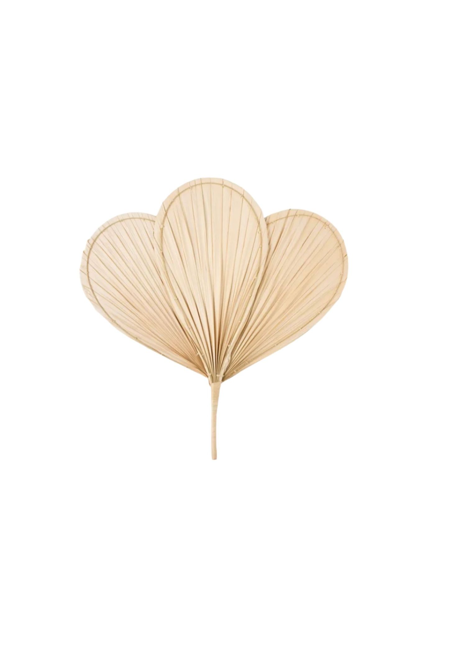 Decorative palm leaf fan