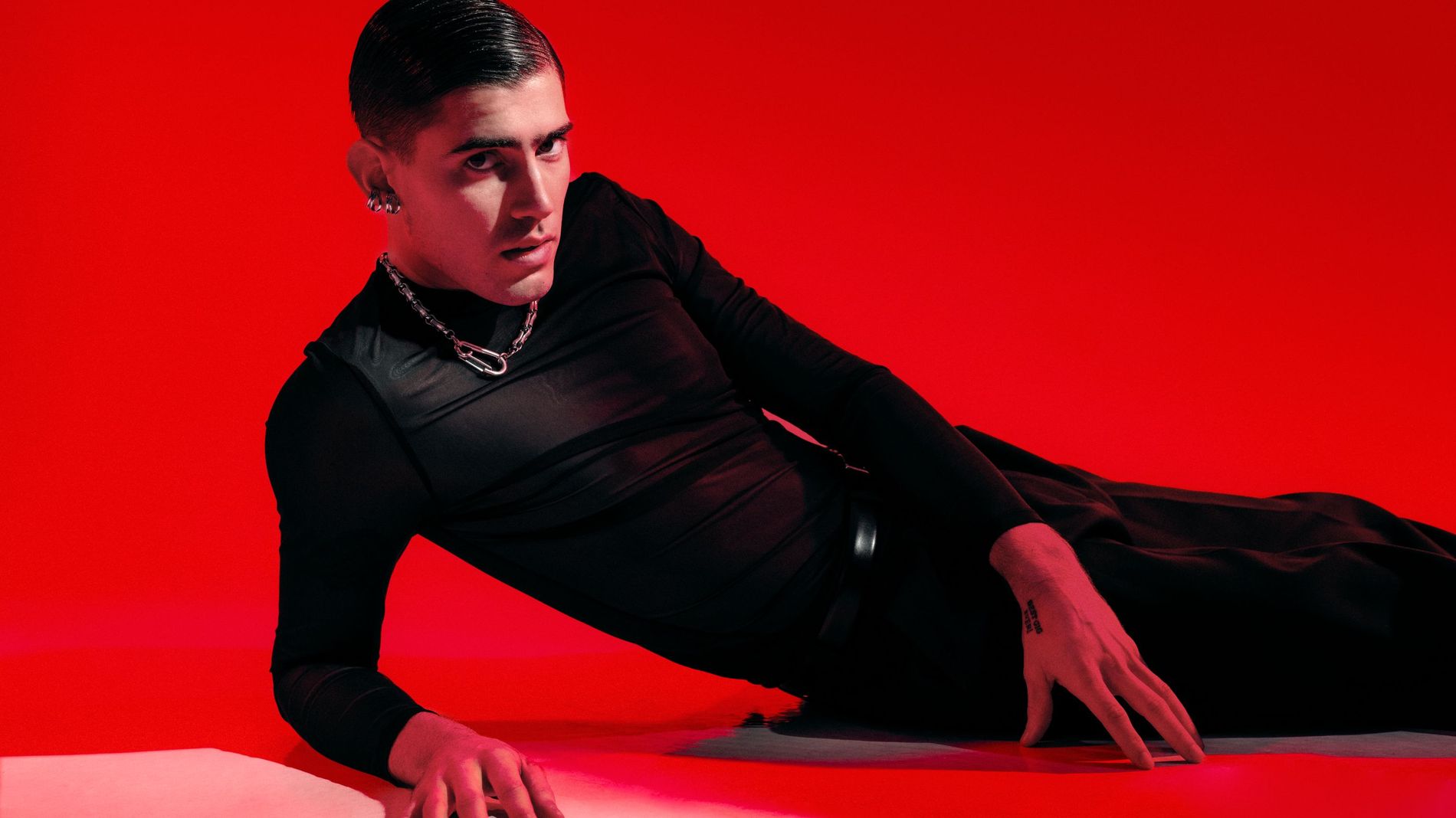 Finnish pop artist Robin Packalen