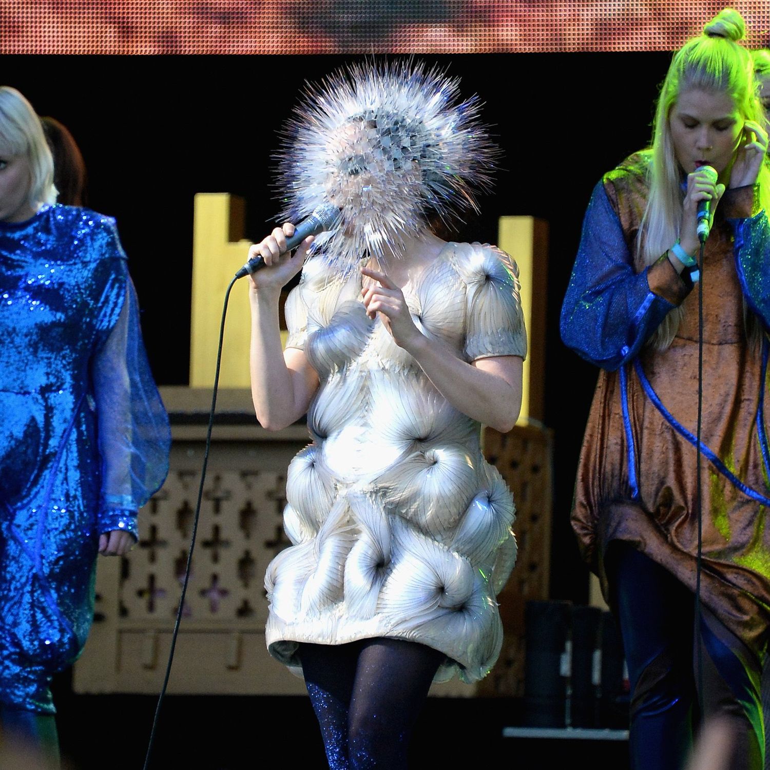 Bjork, Bonnaroo Festival 