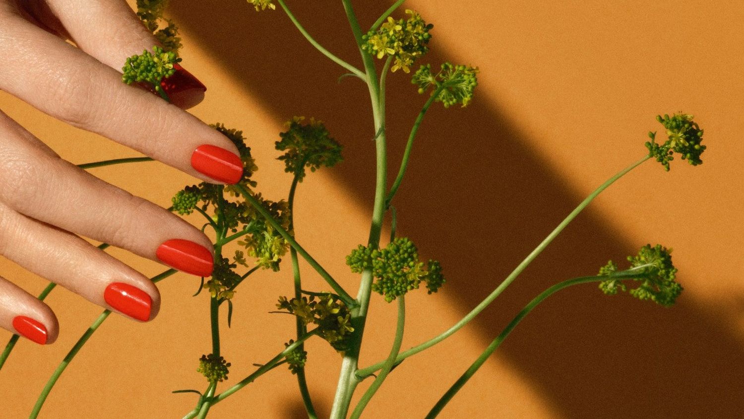 This is why you need to stock up on cuticle oil for winter Vogue Scandinavia