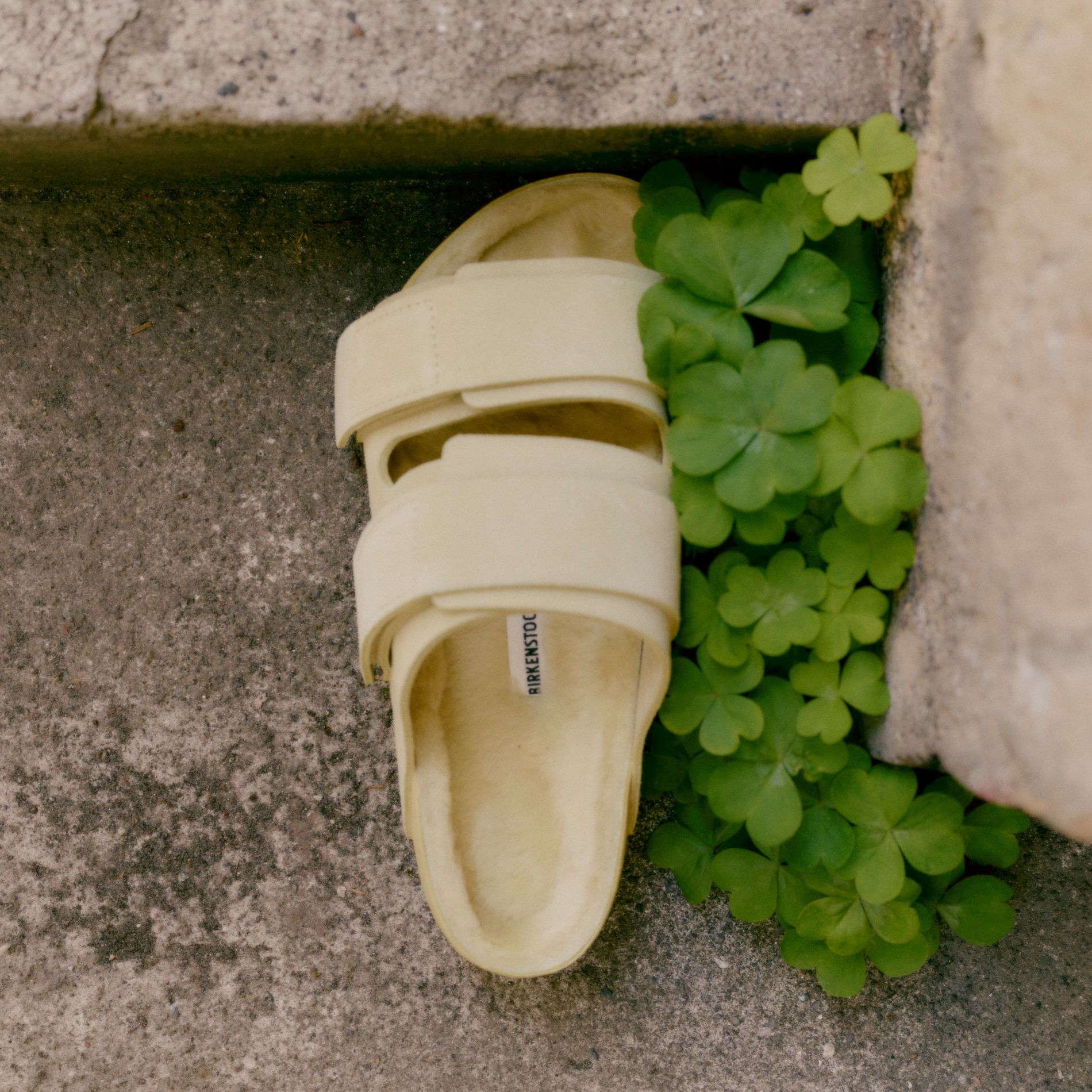 Birkenstock takes a bigger step into Scandinavia with its