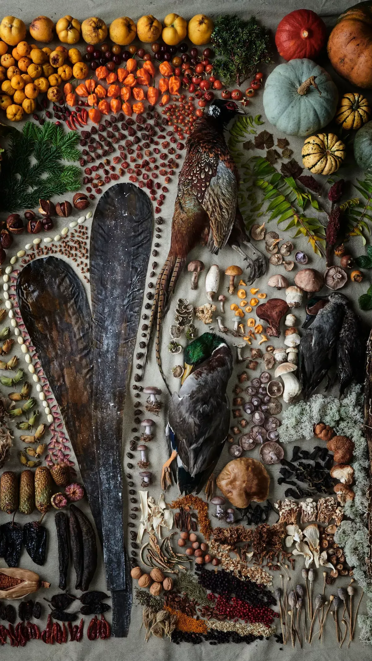 22_11_Noma_Gameandforrest25812