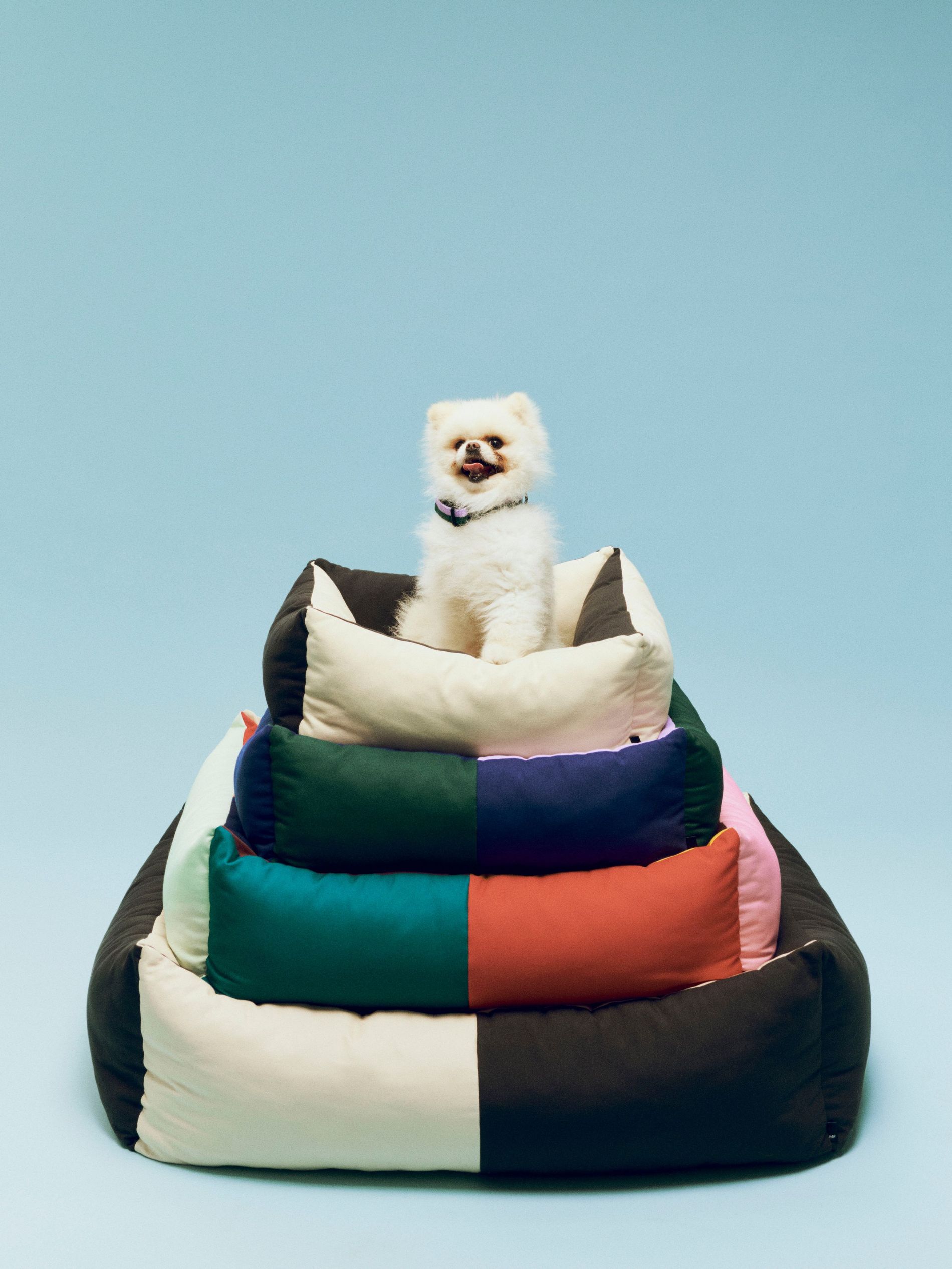 Hay Dogs collection