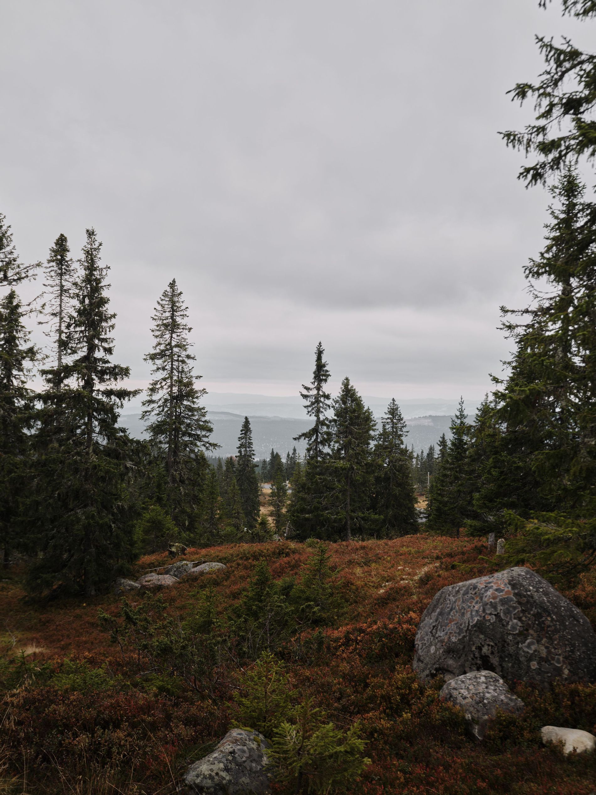 Nordiska Kök Hytte Kitchen