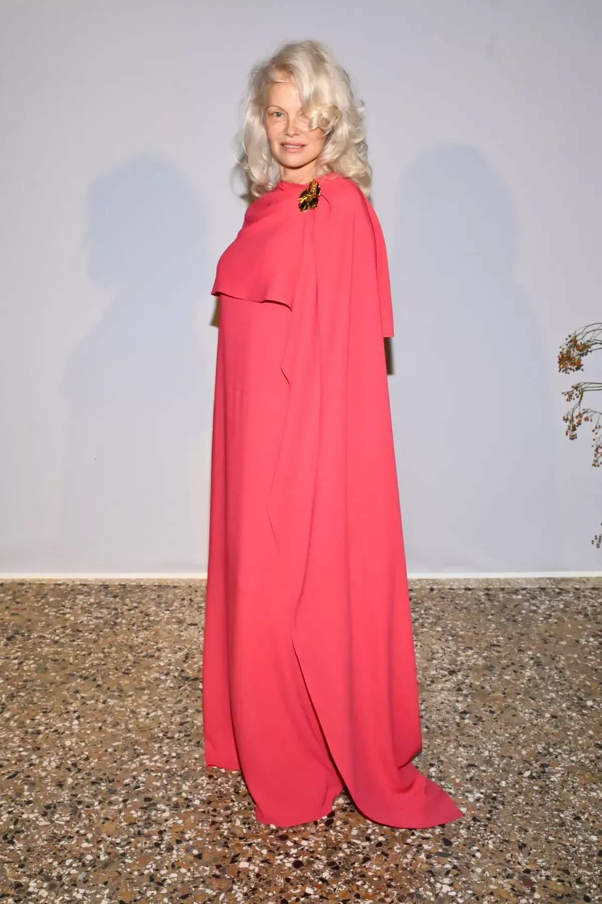 Pamela Anderson photographed wearing a vivid pink gown with shawl overlay
