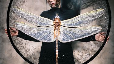 The boundless magic of cover star Björk in Maison Margiela Haute 